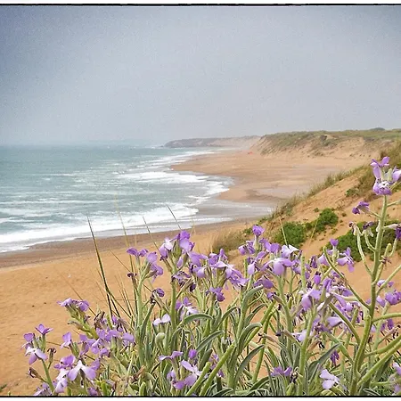Daire Les Terrasses De L Atlantique *