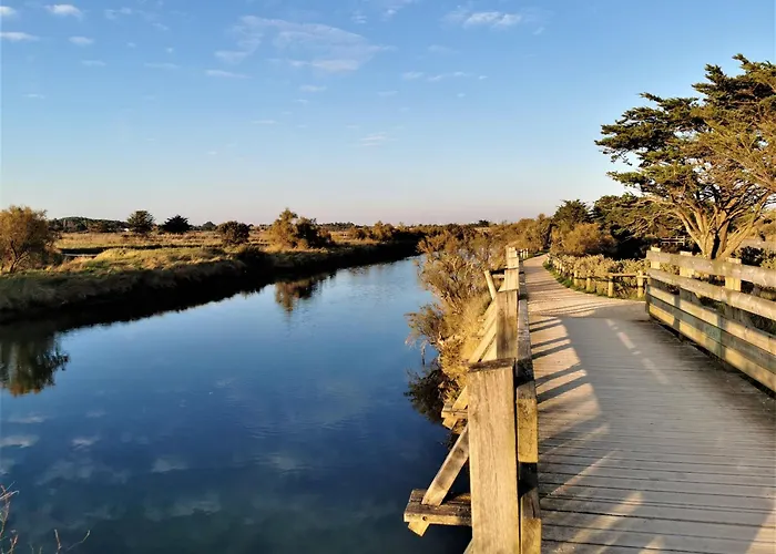 公寓 Les Terrasses De L Atlantique 莱萨布勒-多洛讷